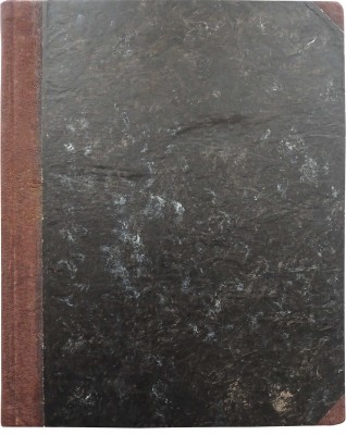 Агин А.А. Сто четыре рисунка к поэме Н.В. Гоголя «Мертвые души». СПб., 1893.